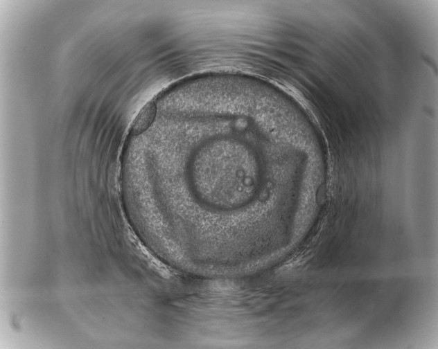 X0000102520799200808291756