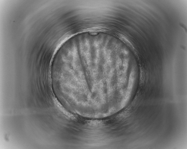 X0000102520800200808291756