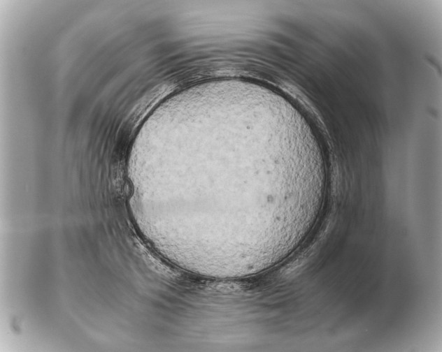 X0000102520801200808291756