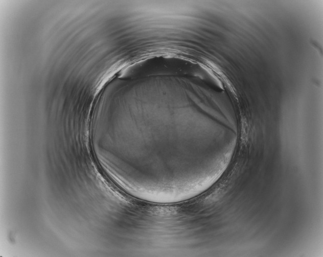 X0000102520802200808291756