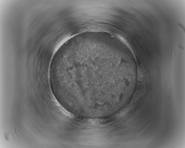 X0000102520803200808291756