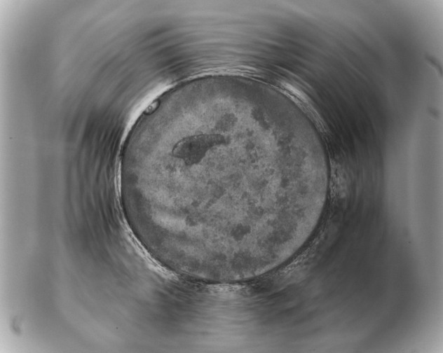 X0000102520804200808291756