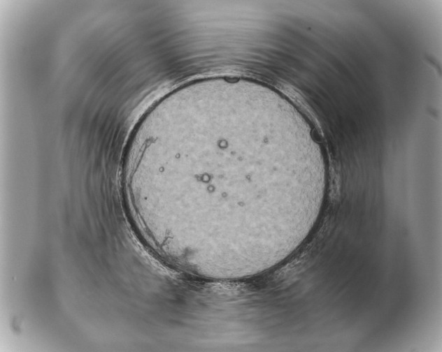 X0000102520805200808291756