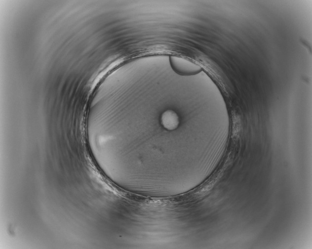 X0000102520806200808291756