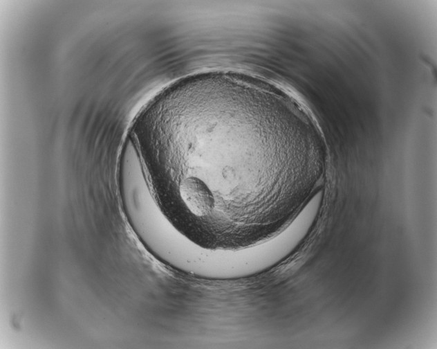 X0000102520807200808291756