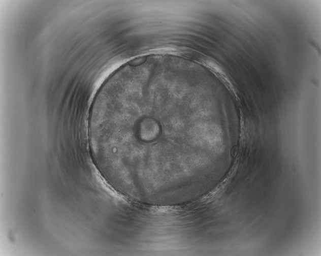 X0000102520808200808291756