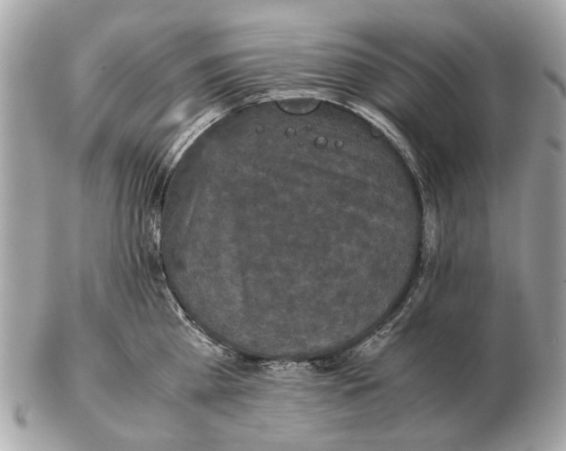 X0000102520809200808291756