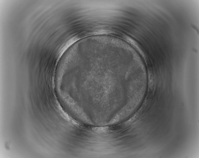 X0000102520810200808291755