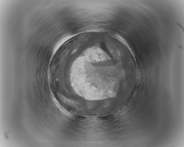 X0000102520811200808291755