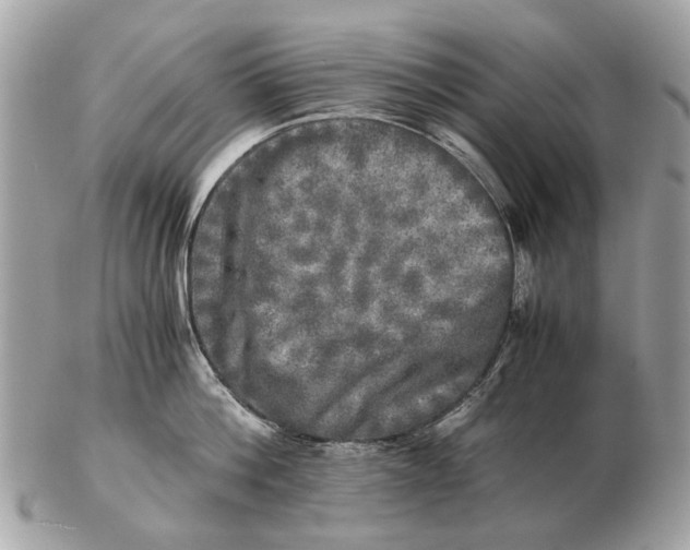 X0000102520812200808291755