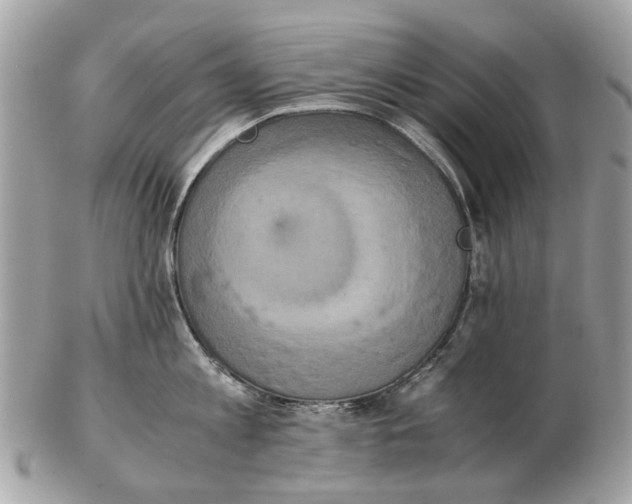 X0000102520813200808291755