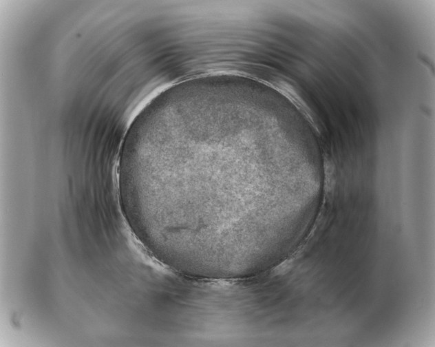 X0000102520814200808291755