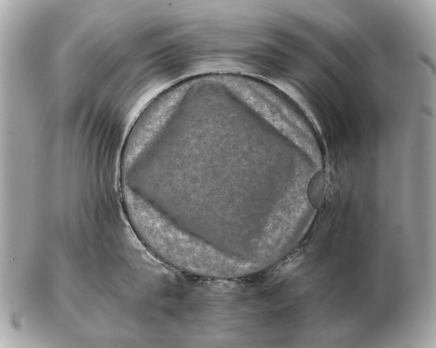 X0000102520815200808291755