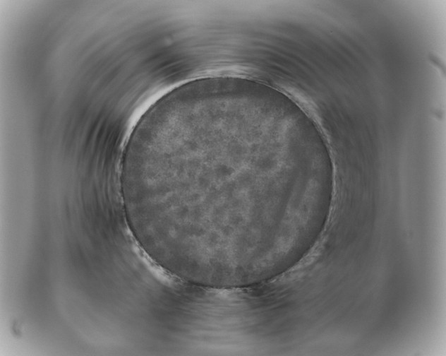 X0000102520816200808291755