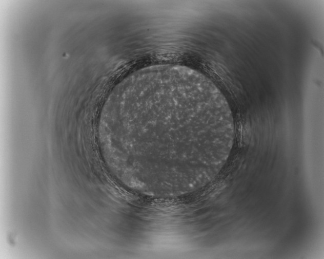 X0000102520817200808291755