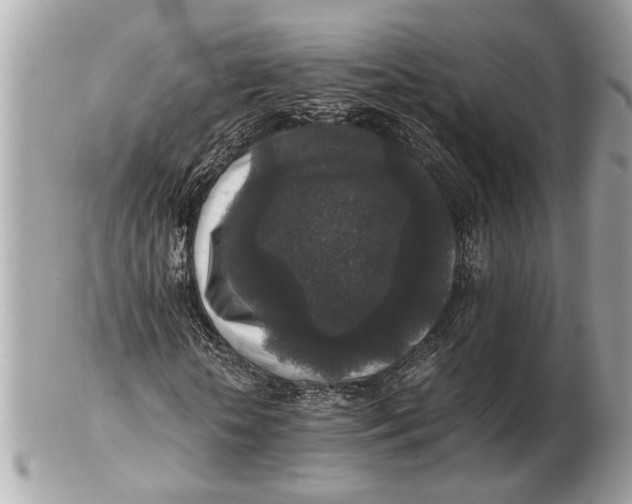 X0000102520818200808291755