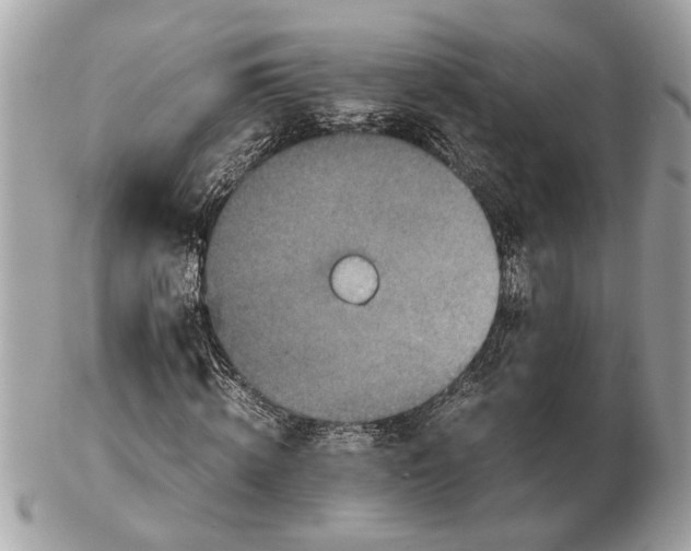 X0000102520820200808291755