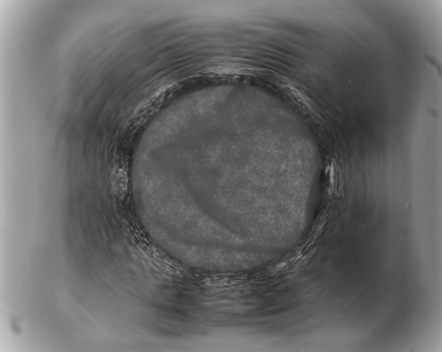 X0000102520821200808291755