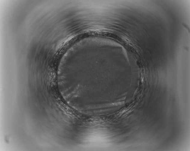 X0000102520822200808291755