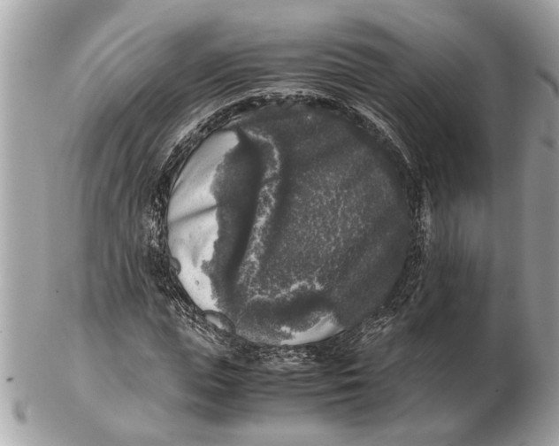 X0000102520823200808291755