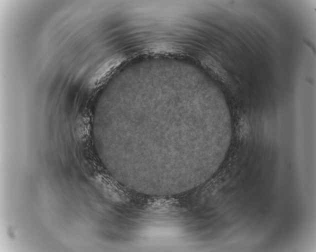 X0000102520824200808291755