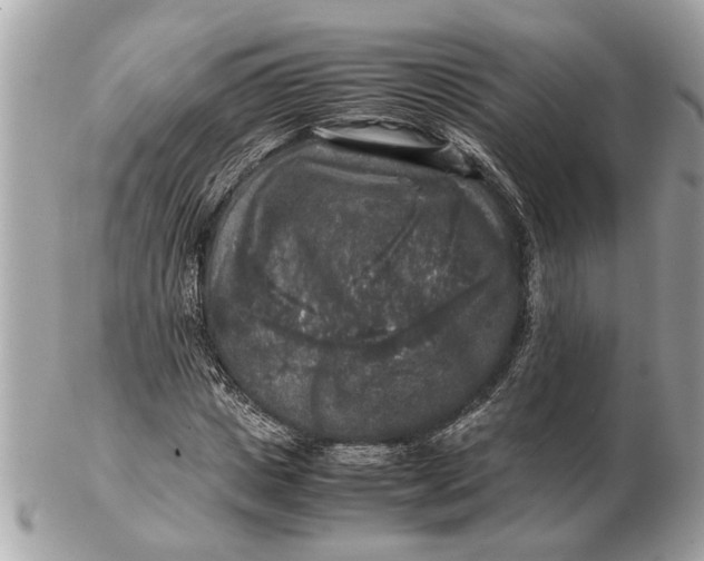 X0000102520825200808291755