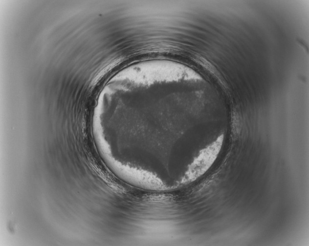 X0000102520826200808291755