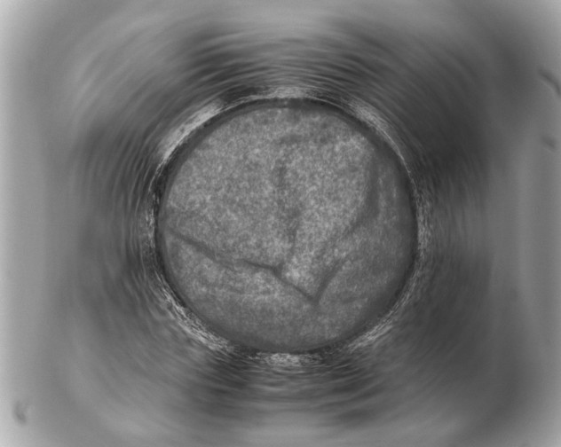 X0000102520827200808291755