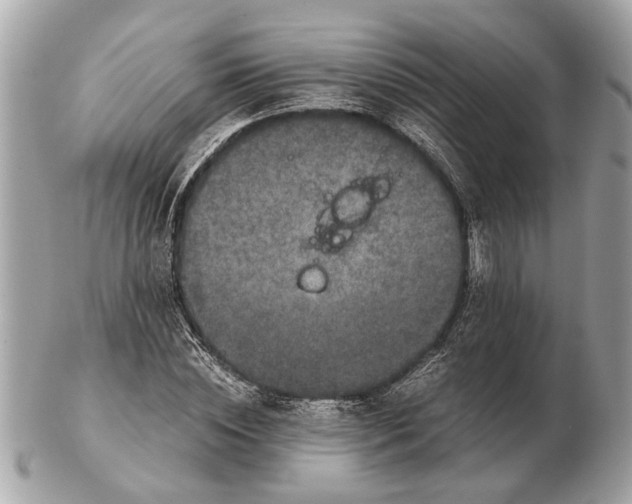 X0000102520828200808291755