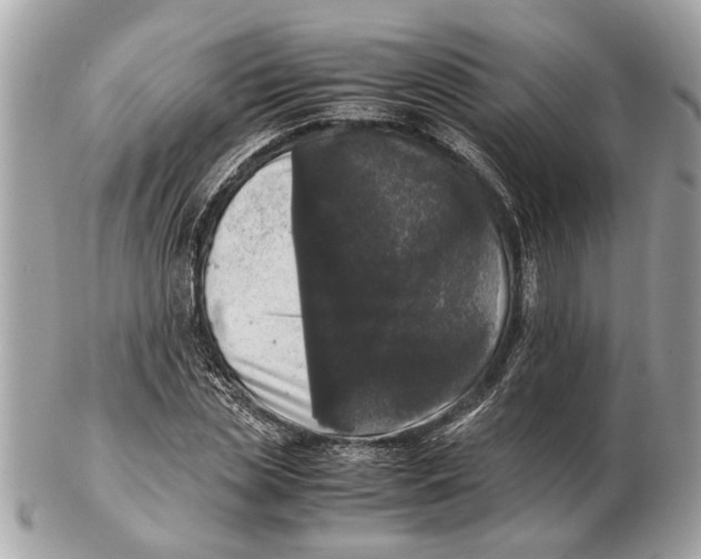 X0000102520829200808291755