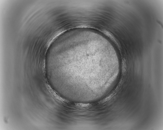 X0000102520831200808291755