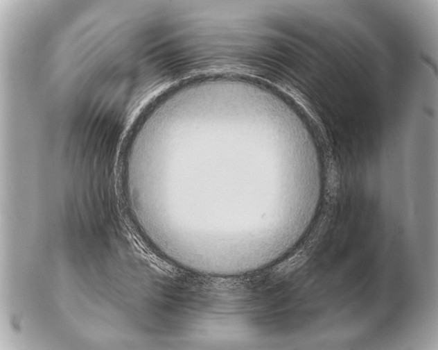 X0000102520832200808291755