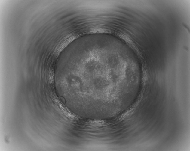 X0000102520833200808291755