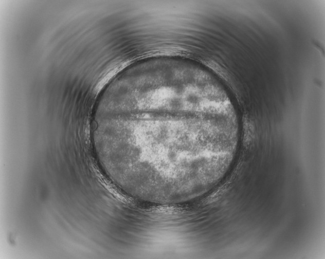 X0000102520834200808291755