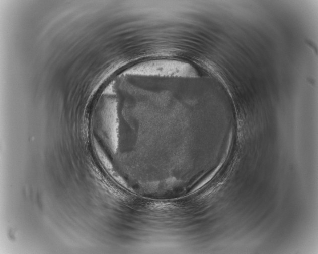 X0000102520835200808291755