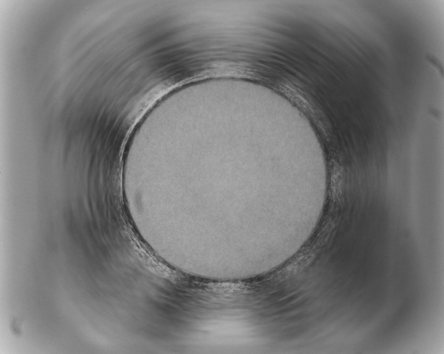 X0000102520836200808291755