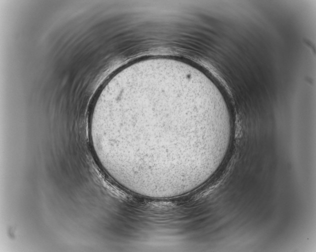 X0000102520837200808291755