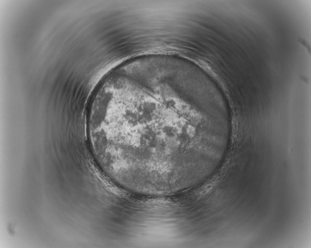 X0000102520838200808291755