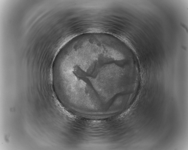 X0000102520839200808291755