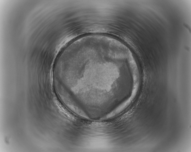 X0000102520840200808291755