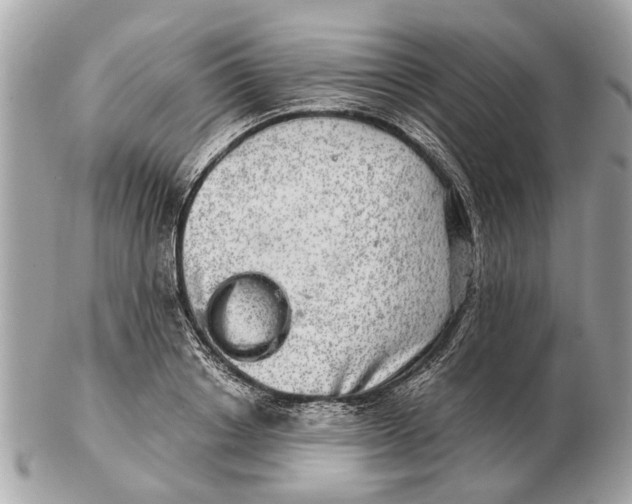 X0000102520842200808291755