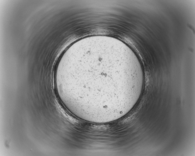 X0000102520843200808291755