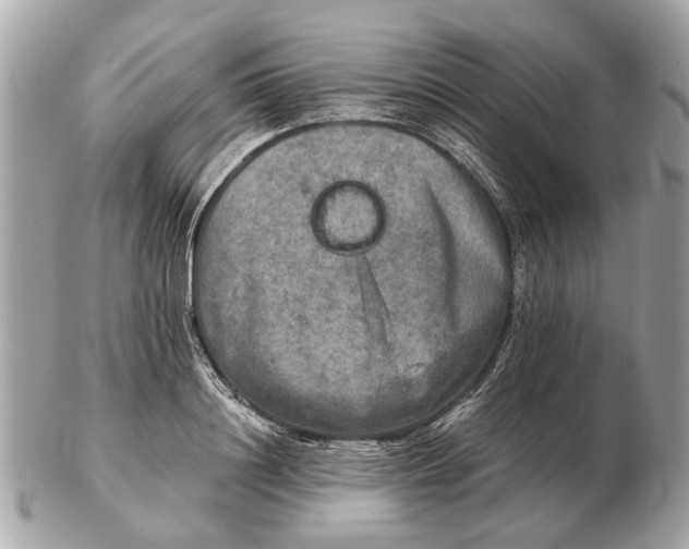 X0000102520844200808291755