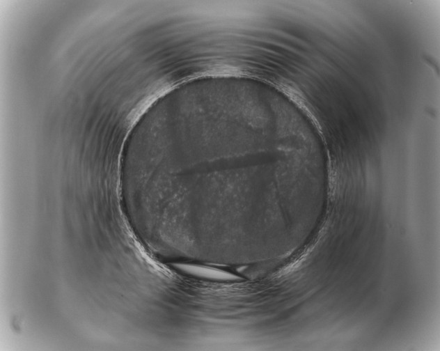 X0000102520845200808291755