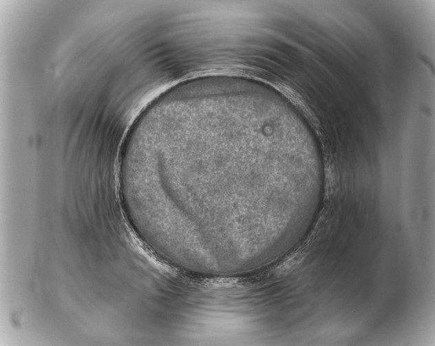 X0000102520846200808291755