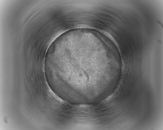 X0000102520847200808291755