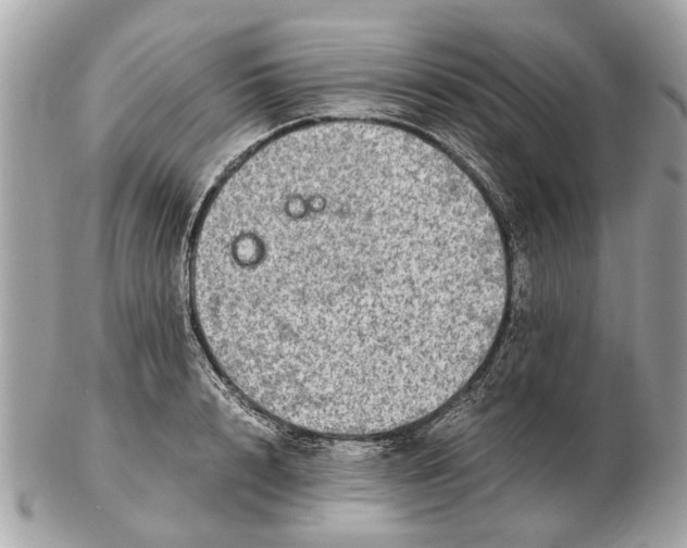 X0000102520848200808291755