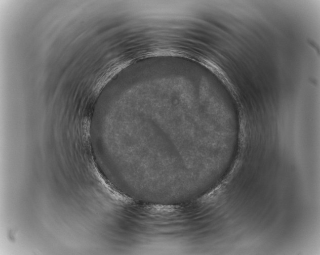 X0000102520849200808291755