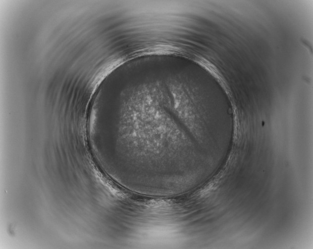 X0000102520850200808291755