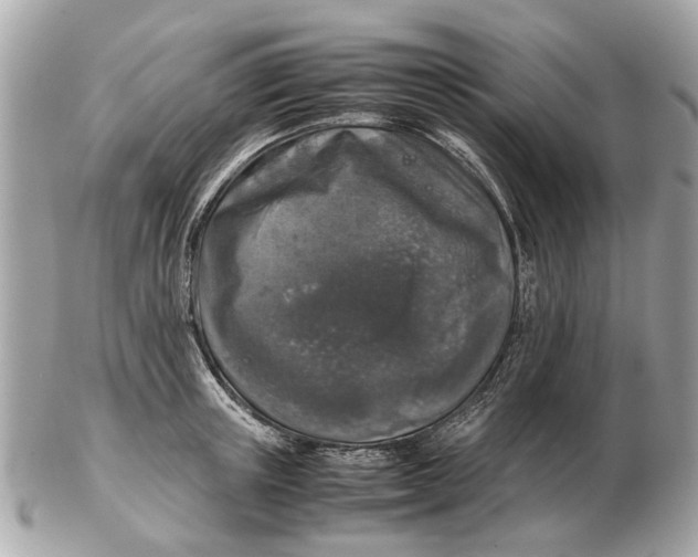 X0000102520851200808291755